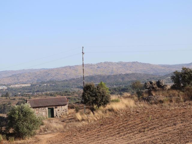 Quinta em Celorico da Beira com 5,9 ha com vista para Celorico Gare e Serra da Estrela!