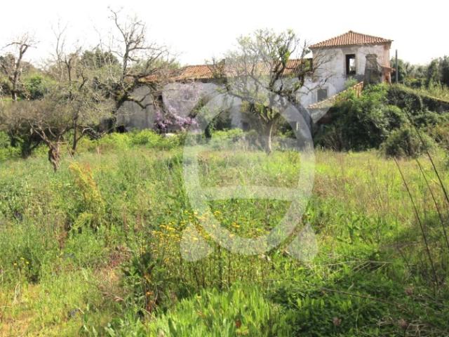 Quinta em Cernache
