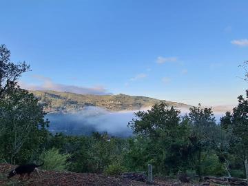 Quinta em Cinfães, Viseu 376m² Oliveira Do Douro