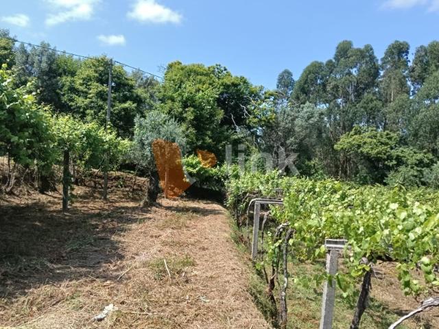 Quinta em Anais | 5.000 m² de terreno com 2.000 m² de construção | Potencial real de valorização