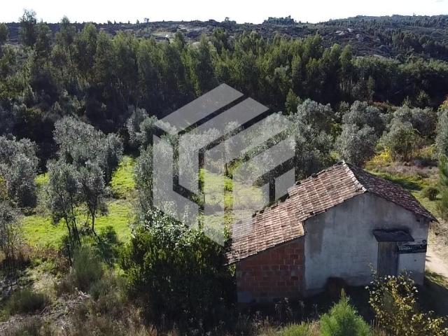 Quinta em Andorinha