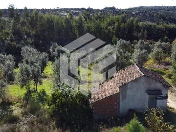 Quinta em Andorinha