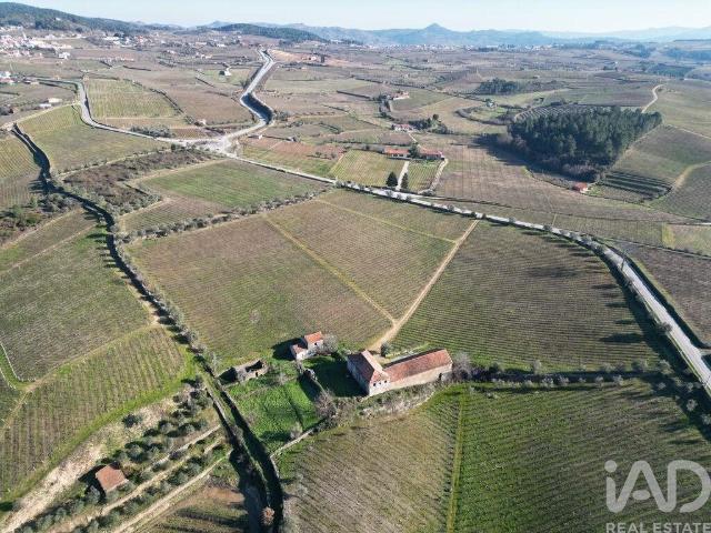 Quinta em Alijó de 872,00 m² 872m² Alijó
