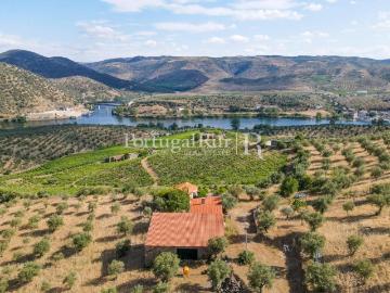 Quinta em Barca D'Alva Douro 160m² Figueira De Castelo Rodrigo