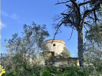 Quinta em Évora com 29.476 m2, sendo 6.476 m2 urbanos 2,976 hectares sendo no Alto de São Bento