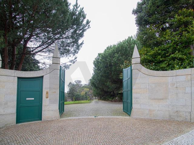 Quinta em Oliveira de Azeméis com um potencial incrível