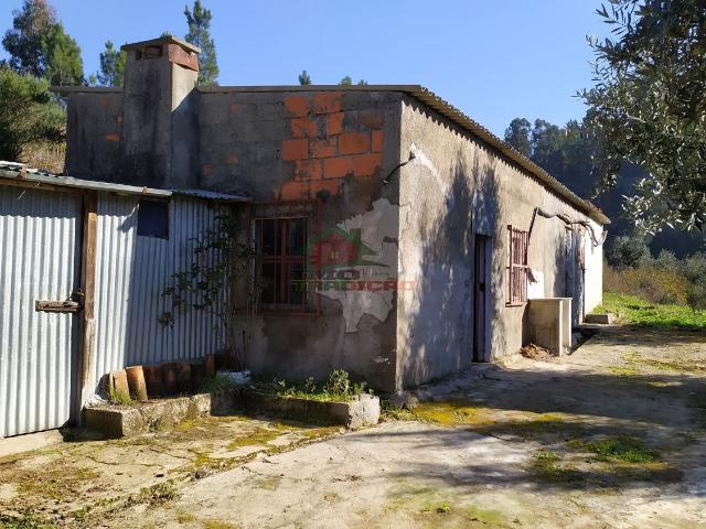 Quinta em Moinho Novo