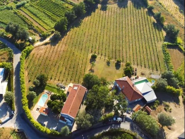 Quinta com Casa em Monção, Região Demarcada dos Vinhos Verdes, Agroturismo Chave na Mão