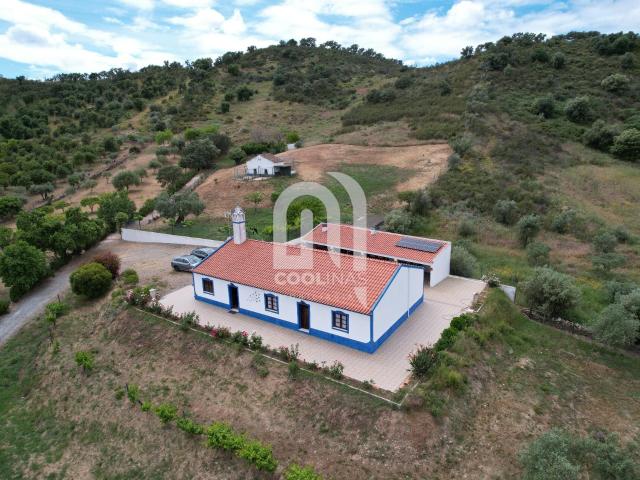 Quinta em Monte Alentejano