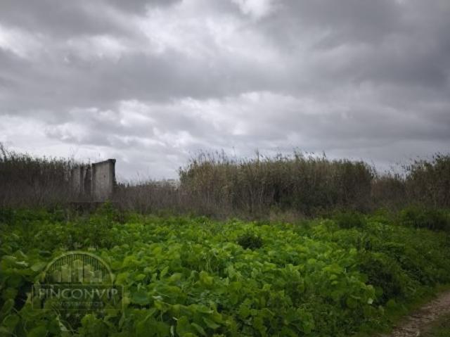 Quinta em Monte de Caparica,Almada, com lote de 23 497 m²,perto de Universidade