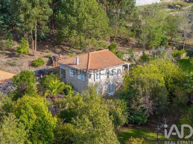 Quinta em Mangualde, Mesquitela e Cunha Alta