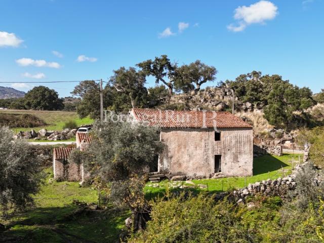 Quinta em Marvão com vocação para turismo e projeto