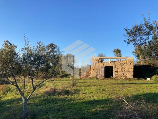 Quinta em Nogueira do Cravo