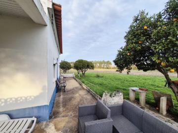 Quinta em Sonega 10 km de Porto Covo