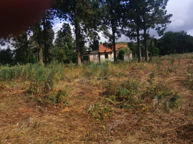 Quinta em Santo António da Serra