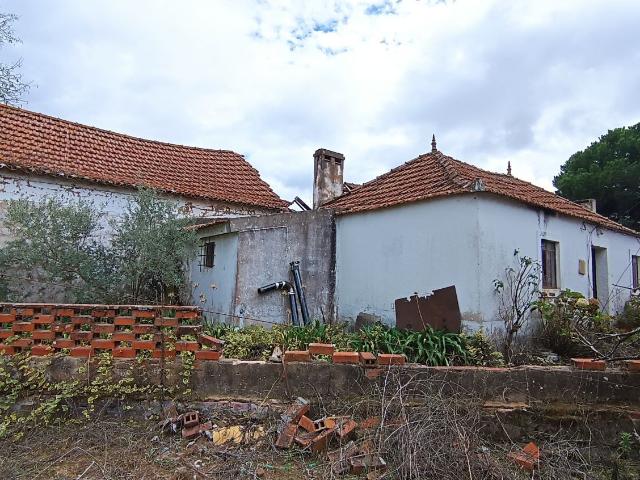 QUINTA EM SANTAREM 16,165HA