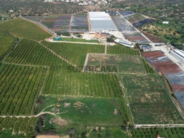 Quinta em Quelfes