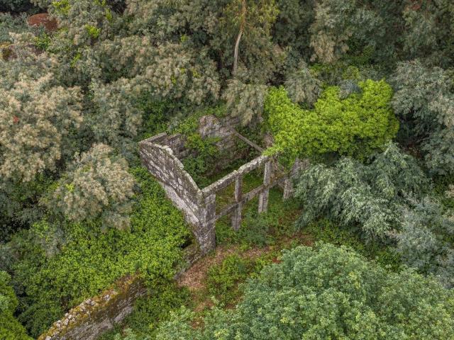Quinta em ruína com 9.6 ha de terreno em São Clemente Fafe 340m² Antime e Silvares S. Clemente