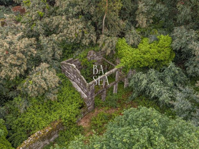 Quinta em ruína com 9.6 ha de terreno em São Clemente Fafe