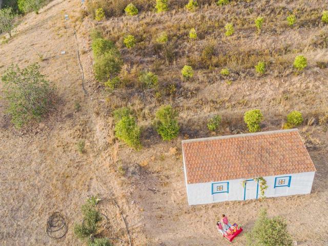 RESERVADO Propriedade Singular em Silves | Vista Castelo, A Pé do Centro e Elevado Potencial Futuro