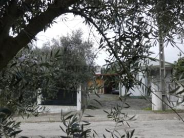 Quinta em Touril, Vila Cã. Pombal