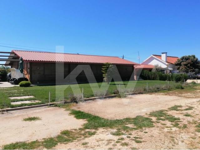 Quinta em Torres Novas, com 182.143 m2