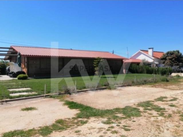 Quinta em Torres Novas, com 182.143 m2