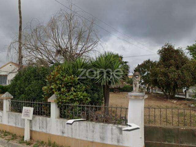 Quinta em Torres Novas