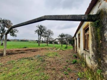 Quinta em Válega Ovar