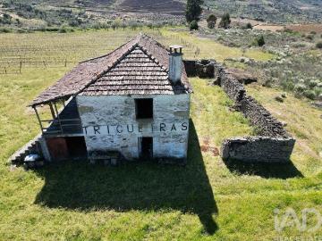 Quinta em Vilas Boas e Vilarinho das Azenhas de 400000 m² 0m² Vilas Boas e Vilarinho das Azenhas