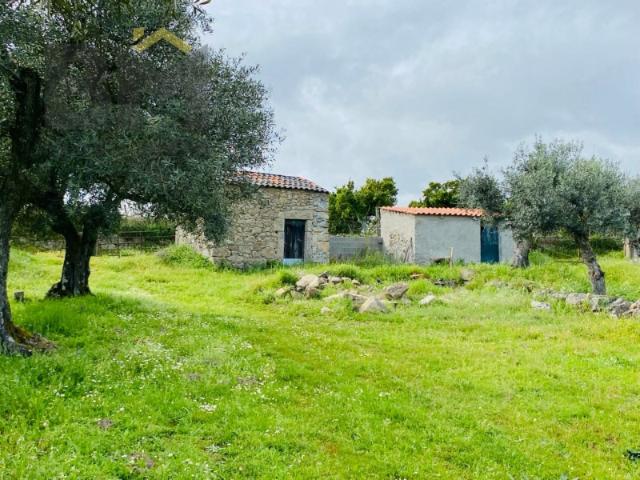 Quinta em zona rural tranquila