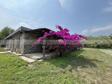 Quinta en renta Cam. A La Palapa 133, Los Nogales Localidad, Santa Catarina, Nuevo León, 66393, Mex