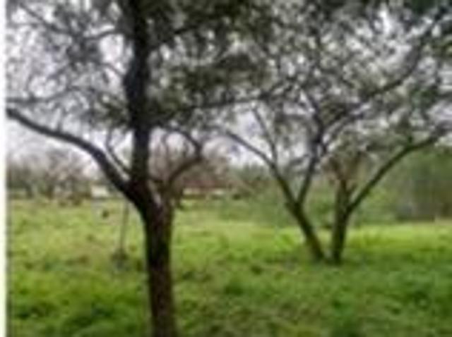 Quinta en VENTA EN ENTRONQUE A SAN MATEO EN JUAREZ