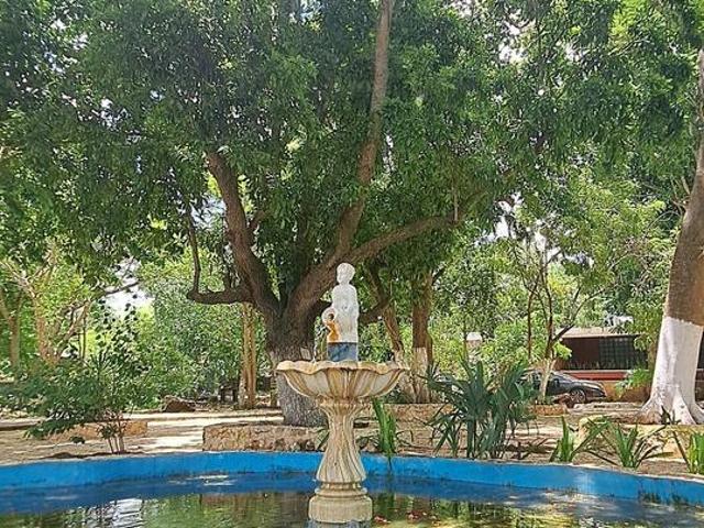 Quinta en venta en M?rida sur