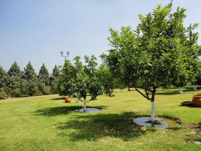 QUINTA EN VENTA EN SANTIAGO A ESPALDAS DE LA PRESA LA BOCA