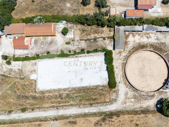 Quinta Equestre a 45 minutos de Lisboa