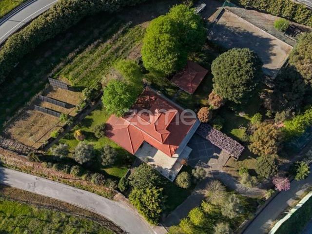 Quinta Esmeriz Cabeçudos