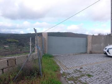 Quinta espetacular
