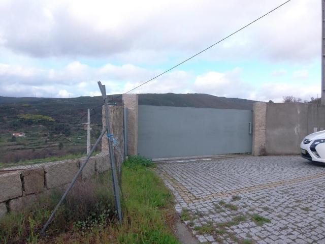 Quinta espetacular