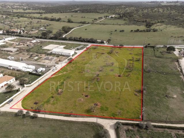 Quinta | Évora | Alentejo