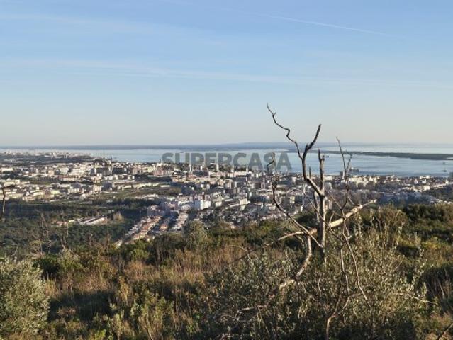 Quinta Exclusiva na Serra da Arrábida, Palmela