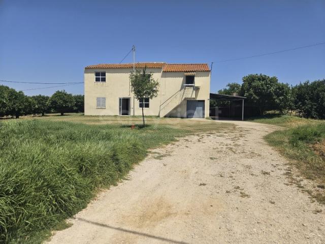 Quinta Exclusiva no Algarve com Duas Habitações Independentes, Armazém e Terreno de 7.440 m²