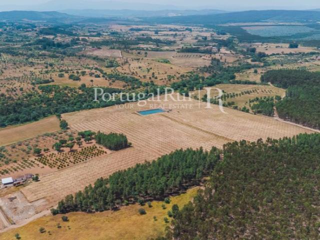 Quinta Exclusiva de Pistacho 12 Hectares | Investimento Agrícola Premium | Penamacor