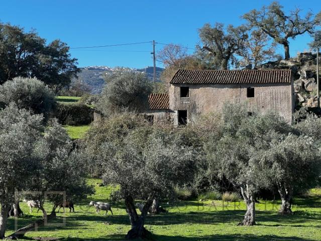 Quinta fantástica com terreno e uma vista lindíssima