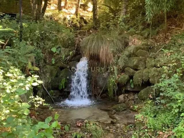 Quinta Floresta Encantada – Um Paraíso Natural no Norte de Portugal