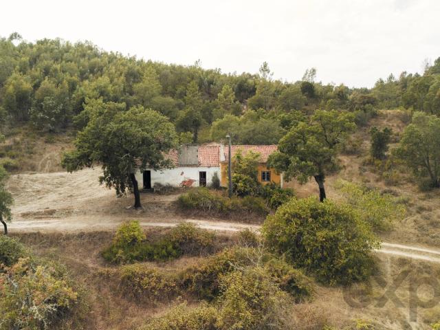 Quinta Florestal de 12,5 Hectares com Casa de Lavrador Cente. 76m² Bemposta