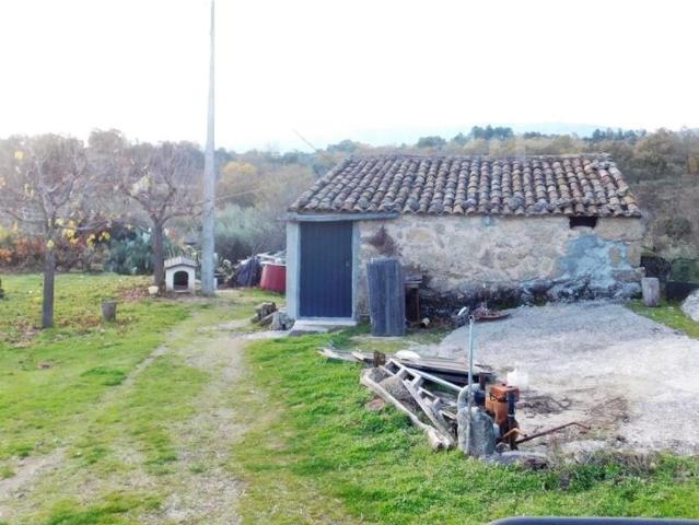 Quinta T1 / Fundão, Orca
