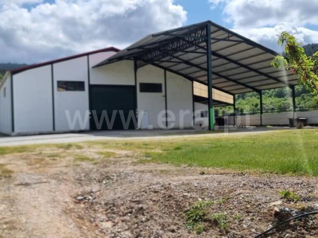 Quinta T1 / Fundão, Donas