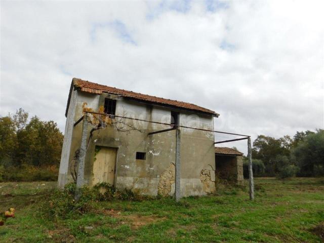 Quinta Estúdio / Fundão, Donas