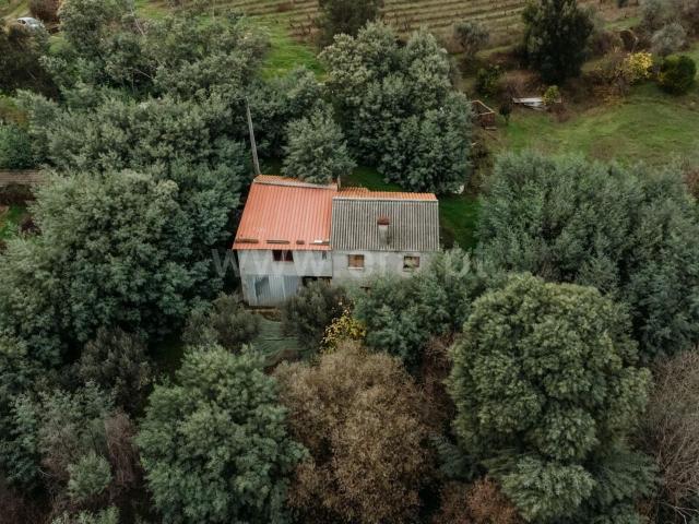 Quinta T1 / Fundão, Vale Prazeres